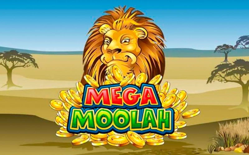 Go wild and collect your winnings in the Mega Moolah game with Slots Gallery.