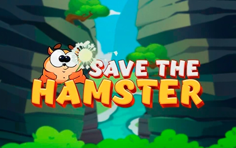 Try your luck in the Save the Hamster game at Slots Gallery Casino.